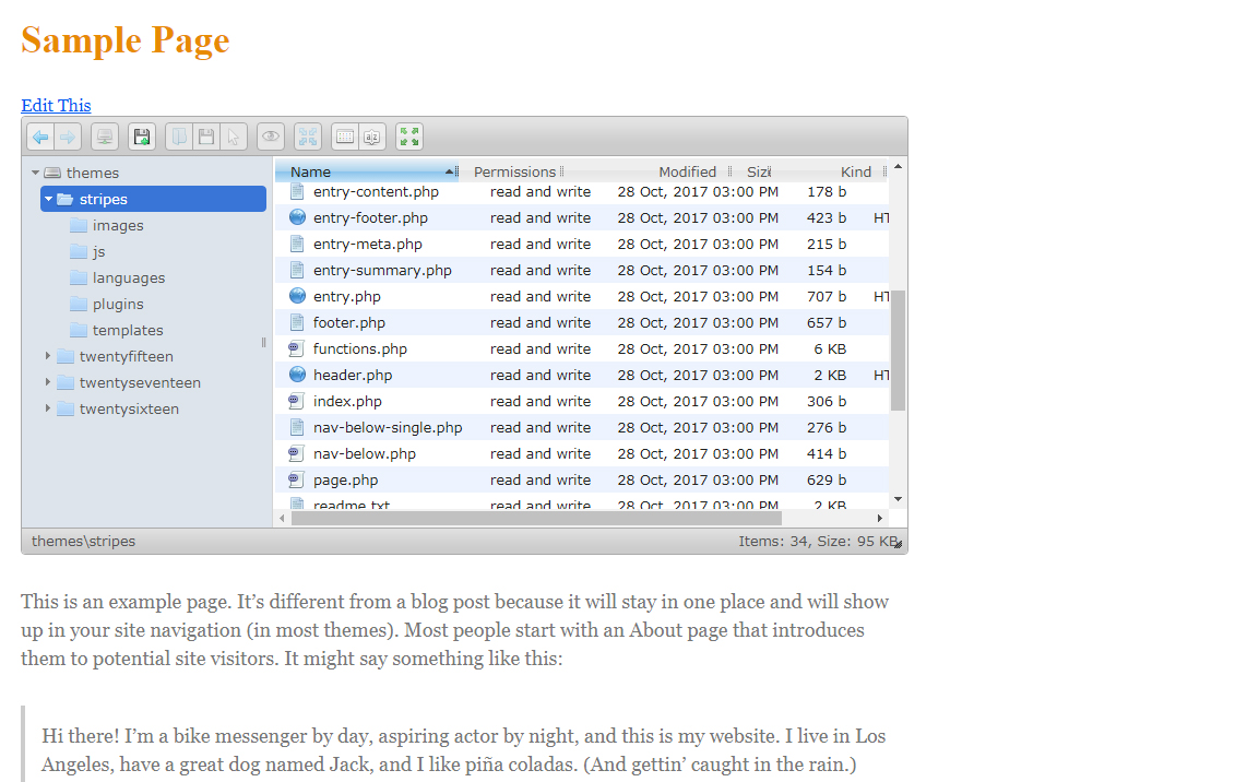 File Manager View
